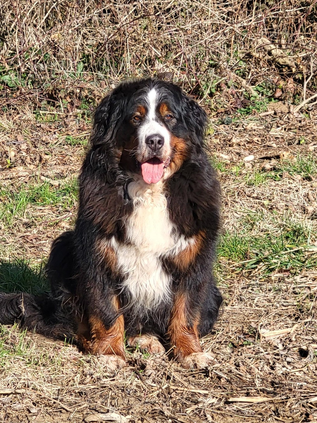 Missing marauder de l'empreinte de Jais