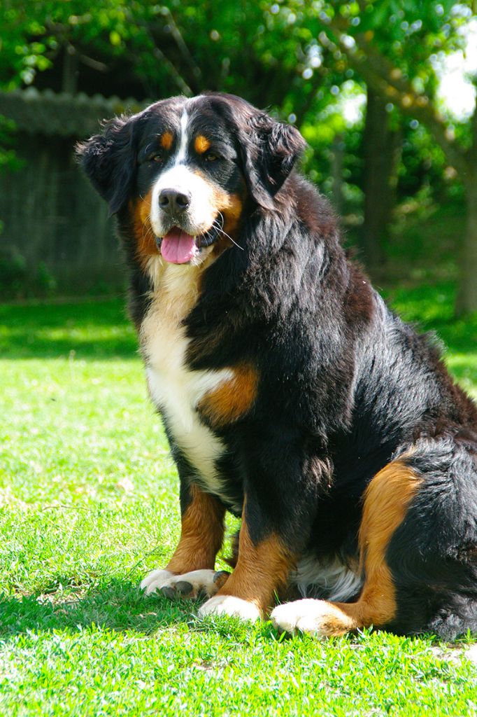 Missing marauder de l'empreinte de Jais