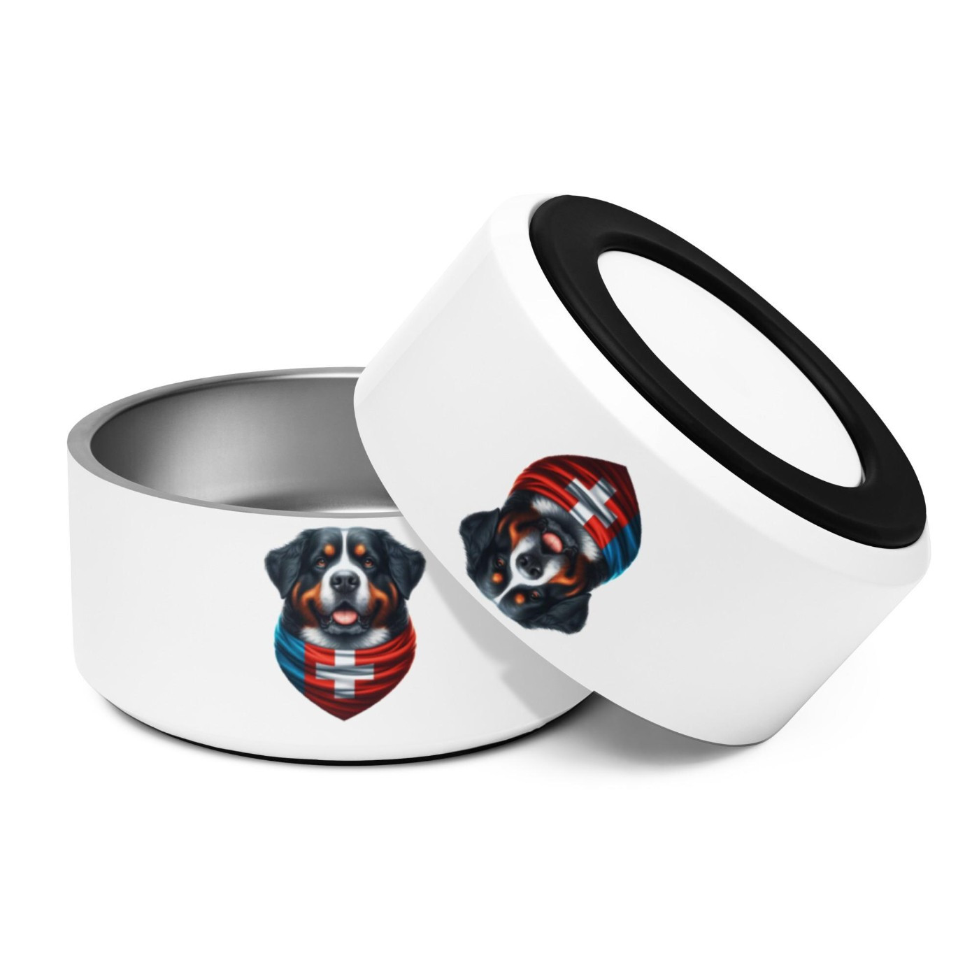 Déco, vêtements, objets divers bernois !